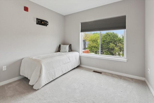 293 N 2nd St, Brighton, MI 48116 - bedroom with baseboards and carpet