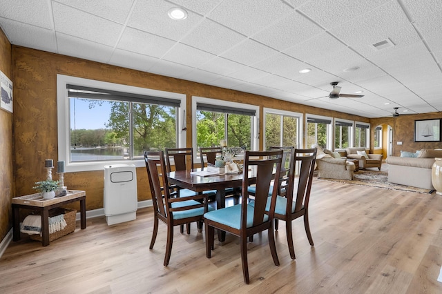 08763 Silver Lake Rd, Grand Junction, MI 49056 - dining area with healthy amount of natural light, light wood finished floors, a ceiling fan, and baseboards