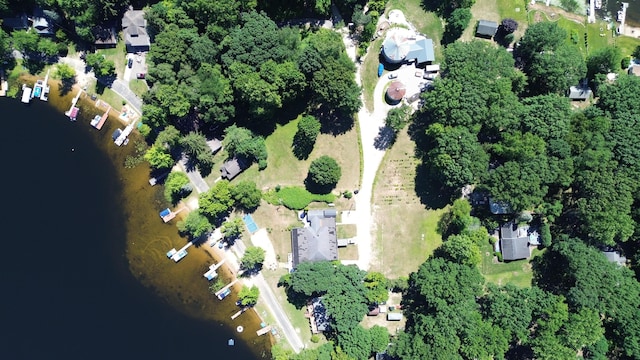 08763 Silver Lake Rd, Grand Junction, MI 49056 - aerial overview of property's location with a large body of water