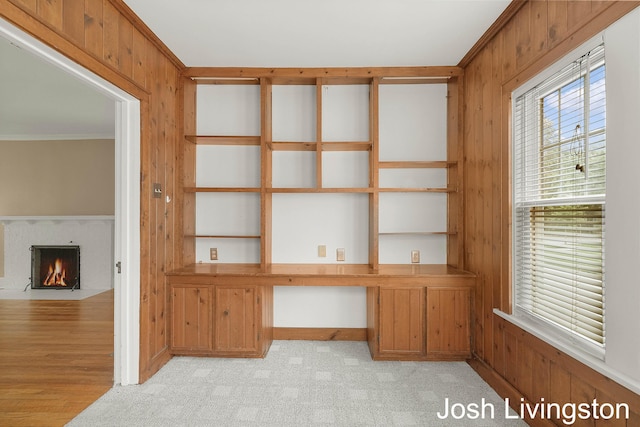 957 Breton Rd SE, Grand Rapids, MI 49506 - unfurnished office featuring wood walls, plenty of natural light, crown molding, and a fireplace