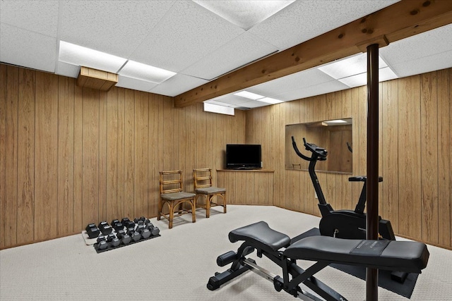 46890 Cider Mill Dr, Novi, MI 48374 - exercise room featuring wooden walls, carpet, and a drop ceiling