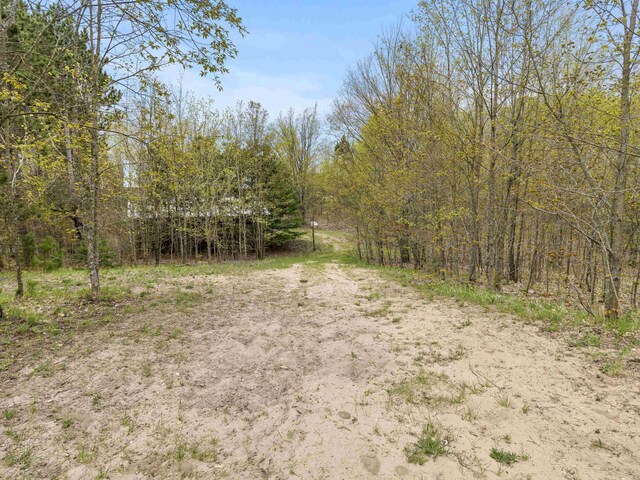 17634 Litzen Rd, Copemish, MI 49625 - photo 16