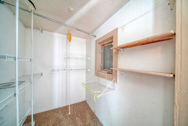 1702 Teneyck St, Jackson, MI 49203 - spacious closet featuring carpet flooring