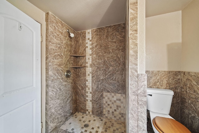1702 Teneyck St, Jackson, MI 49203 - full bathroom featuring a tile shower, toilet, and tile walls