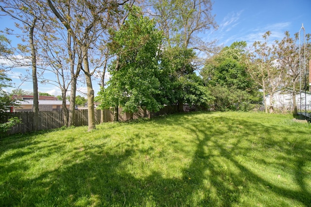 1702 Teneyck St, Jackson, MI 49203 - view of yard
