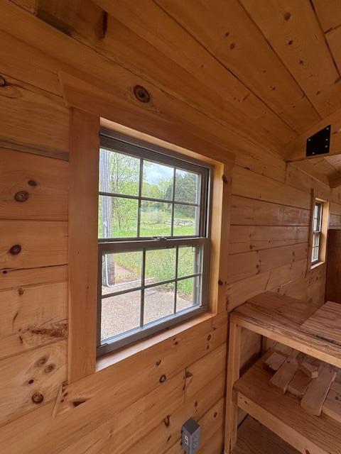 sauna / steam room featuring wood walls