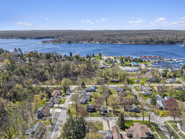 371 4th St, Pentwater, MI 49449 - view of property location with a large body of water and nearby suburban area
