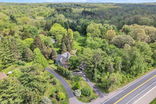 2462 N Dixboro Rd, Ann Arbor, MI 48105 - aerial view of property and surrounding area featuring a heavily wooded area