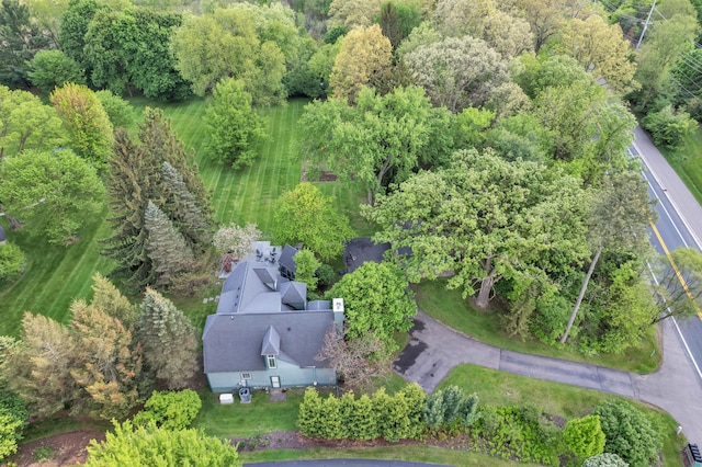 2462 N Dixboro Rd, Ann Arbor, MI 48105 - bird's eye view