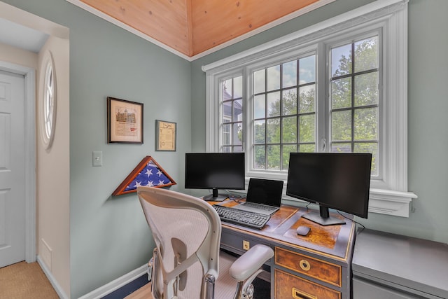 2462 N Dixboro Rd, Ann Arbor, MI 48105 - home office with baseboards and carpet floors