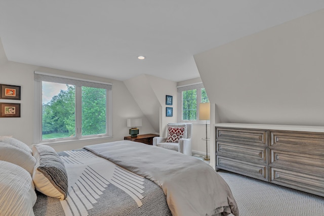 2462 N Dixboro Rd, Ann Arbor, MI 48105 - carpeted bedroom with recessed lighting and lofted ceiling