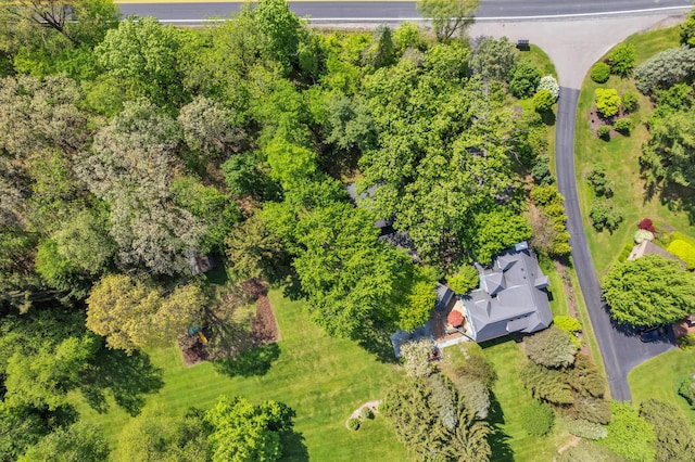 2462 N Dixboro Rd, Ann Arbor, MI 48105 - bird's eye view