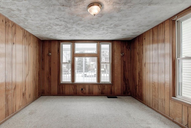 spare room featuring wood walls, carpet floors, a textured ceiling, and baseboards