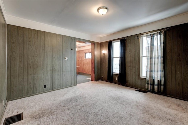 spare room with wooden walls and carpet