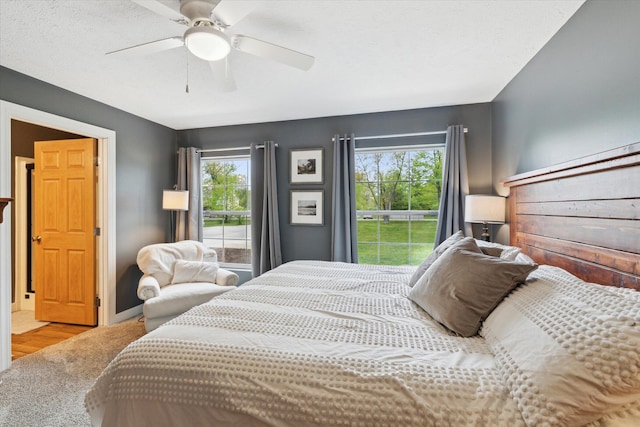 75349 12th Ave, South Haven, MI 49090 - bedroom with multiple windows, carpet, and a ceiling fan