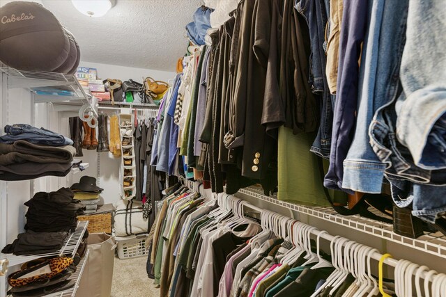 75349 12th Ave, South Haven, MI 49090 - walk in closet featuring carpet