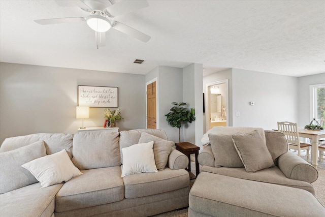 75349 12th Ave, South Haven, MI 49090 - living area with ceiling fan and carpet floors
