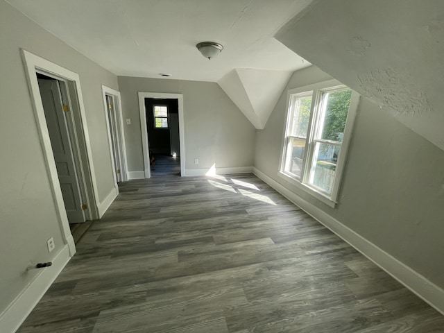 811 Park St SW, Grand Rapids, MI 49504 - additional living space with plenty of natural light, baseboards, dark wood-style floors, and vaulted ceiling