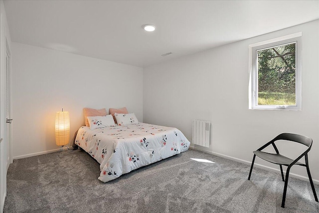 7044 Cascade Rd SE, Grand Rapids, MI 49546 - carpeted bedroom with radiator and baseboards