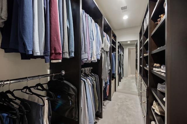 628 Watkins St, Birmingham, MI 48009 - walk in closet with light colored carpet