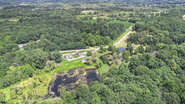 23431 Shurte St, Cassopolis, MI 49031 - aerial view of property's location featuring a forest and a large body of water