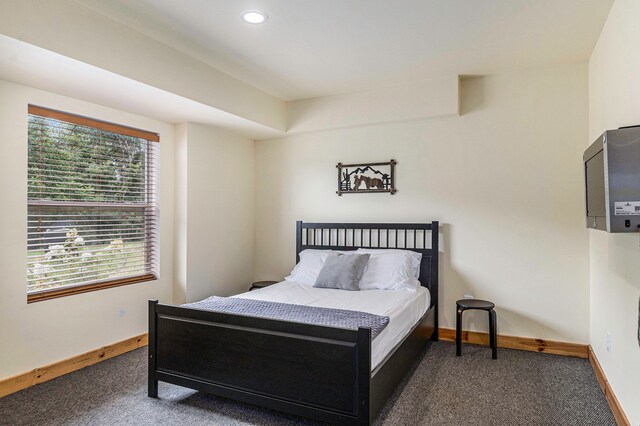 4435 Imlay City Rd, Attica, MI 48412 - carpeted bedroom featuring baseboards and recessed lighting