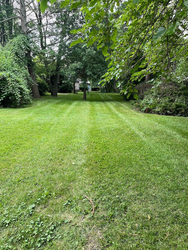view of green lawn