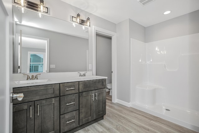 2421 Darah St, Niles, MI 49120 - bathroom featuring wood finished floors, toilet, double vanity, a shower, and recessed lighting