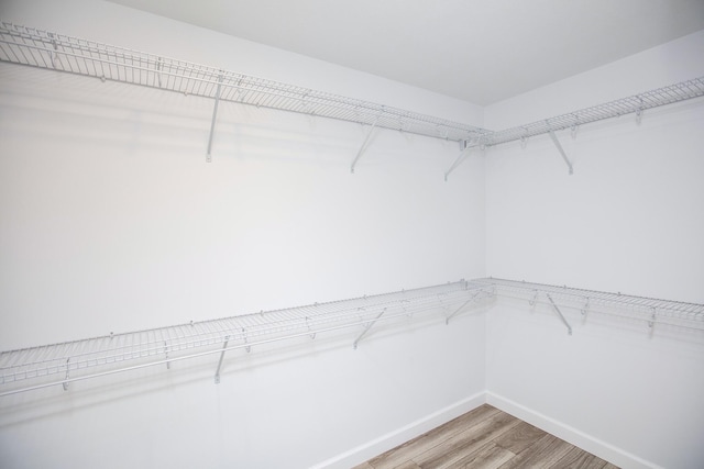 2421 Darah St, Niles, MI 49120 - spacious closet with light wood-style floors