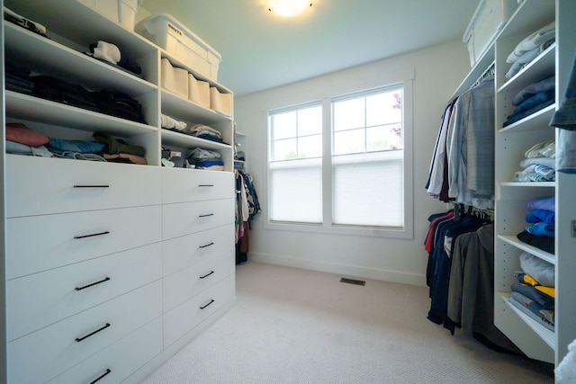 3280 Amtrak Dr SW, Byron Center, MI 49315 - walk in closet featuring light carpet