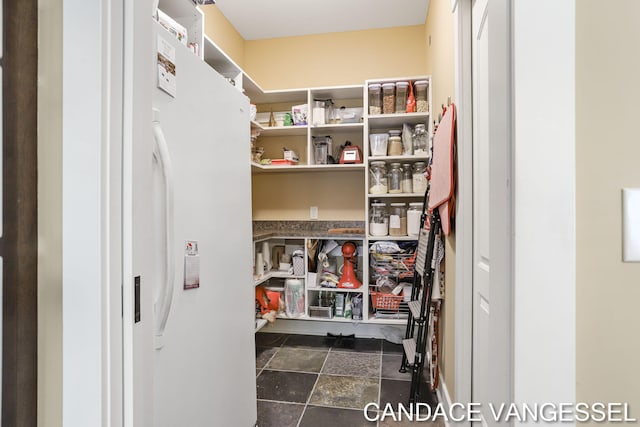 2429 Shears Crossing Ct NE, Grand Rapids, MI 49525 - view of storage area