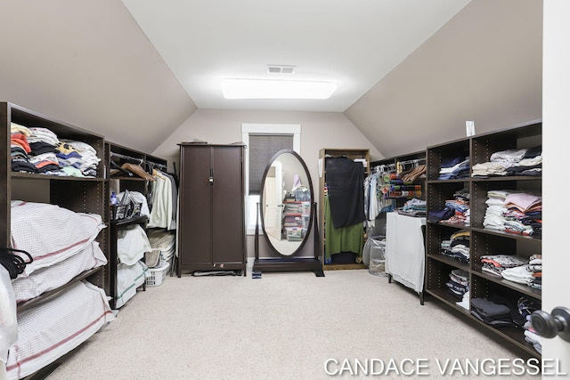 2429 Shears Crossing Ct NE, Grand Rapids, MI 49525 - walk in closet featuring vaulted ceiling and carpet flooring