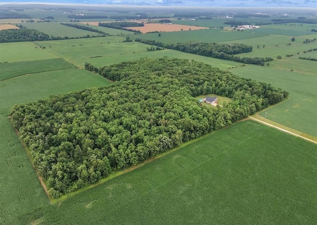 5856 Peck Rd, Brown City, MI 48416 - view of rural area with rows of crops
