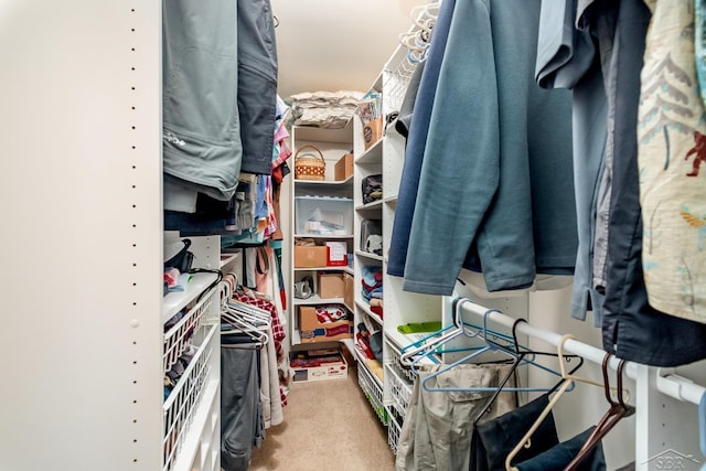 217 Maple Rd, Roscommon, MI 48653 - spacious closet featuring carpet floors