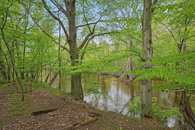 1558 Sylvan Glen Rd, Okemos, MI 48864 - water view