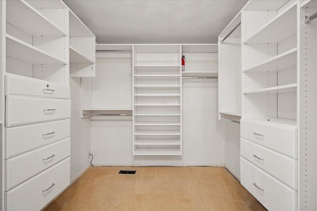 1558 Sylvan Glen Rd, Okemos, MI 48864 - walk in closet with light colored carpet