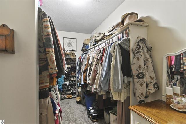 2426 E 48 1/2 Rd, Cadillac, MI 49601 - spacious closet with carpet flooring