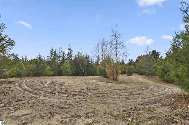 2426 E 48 1/2 Rd, Cadillac, MI 49601 - view of wooded area