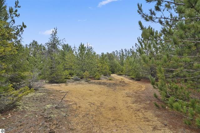 2426 E 48 1/2 Rd, Cadillac, MI 49601 - view of local wilderness