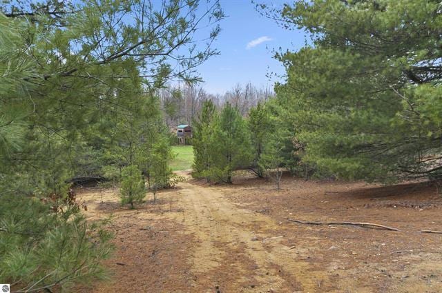 2426 E 48 1/2 Rd, Cadillac, MI 49601 - view of undeveloped land