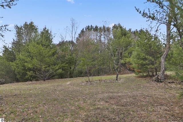 2426 E 48 1/2 Rd, Cadillac, MI 49601 - view of yard featuring a view of trees