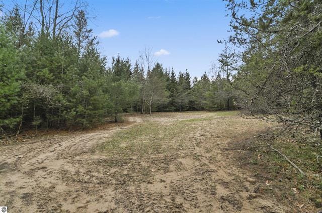 2426 E 48 1/2 Rd, Cadillac, MI 49601 - view of tree filled area
