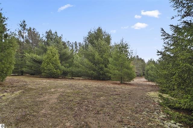 2426 E 48 1/2 Rd, Cadillac, MI 49601 - view of yard