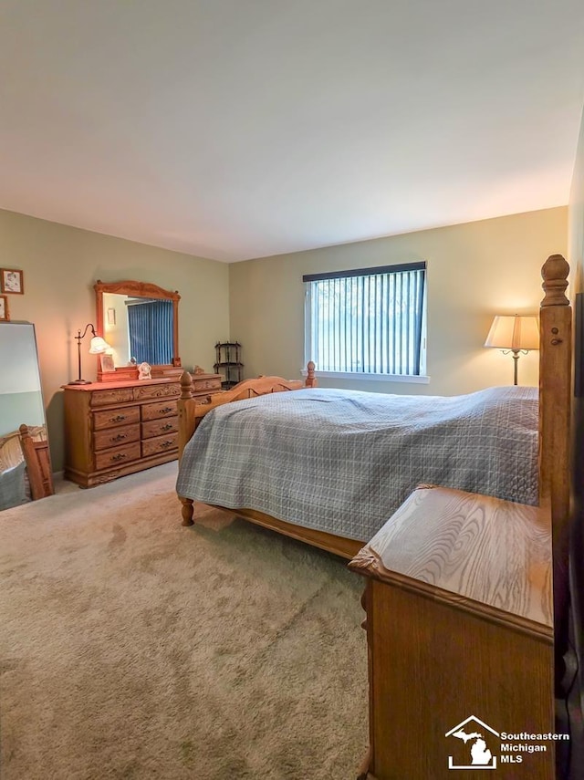 17795 Bobwhite Ct, Brownstown, MI 48192 - view of carpeted bedroom