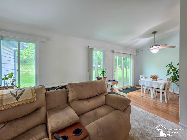 17795 Bobwhite Ct, Brownstown, MI 48192 - living room with plenty of natural light, wood finished floors, and ceiling fan
