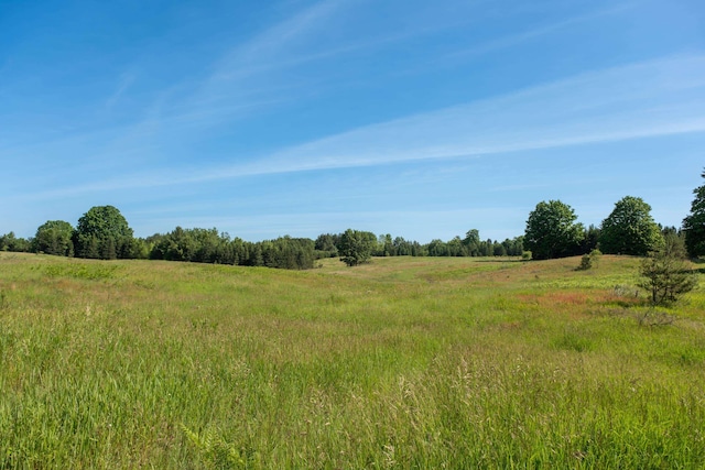 E Sparling Rd, Fife Lake, MI 49633