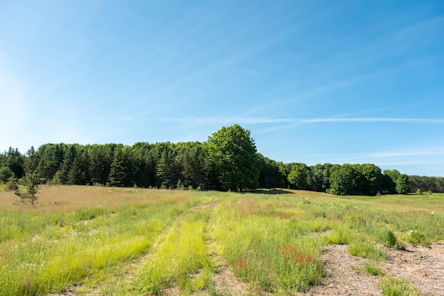 E Sparling Rd, Fife Lake, MI 49633
