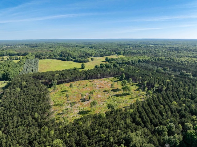 E Sparling Rd, Fife Lake, MI 49633