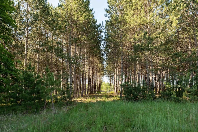 E Sparling Rd, Fife Lake, MI 49633