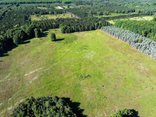 E Sparling Rd, Fife Lake, MI 49633